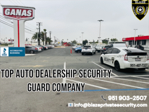 commercial security